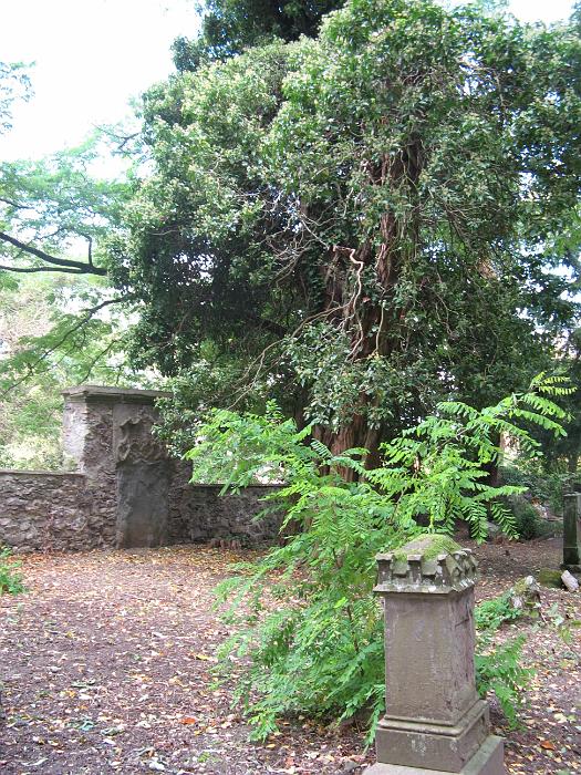 Bild 2008 012